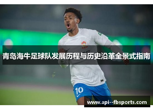 青岛海牛足球队发展历程与历史沿革全景式指南